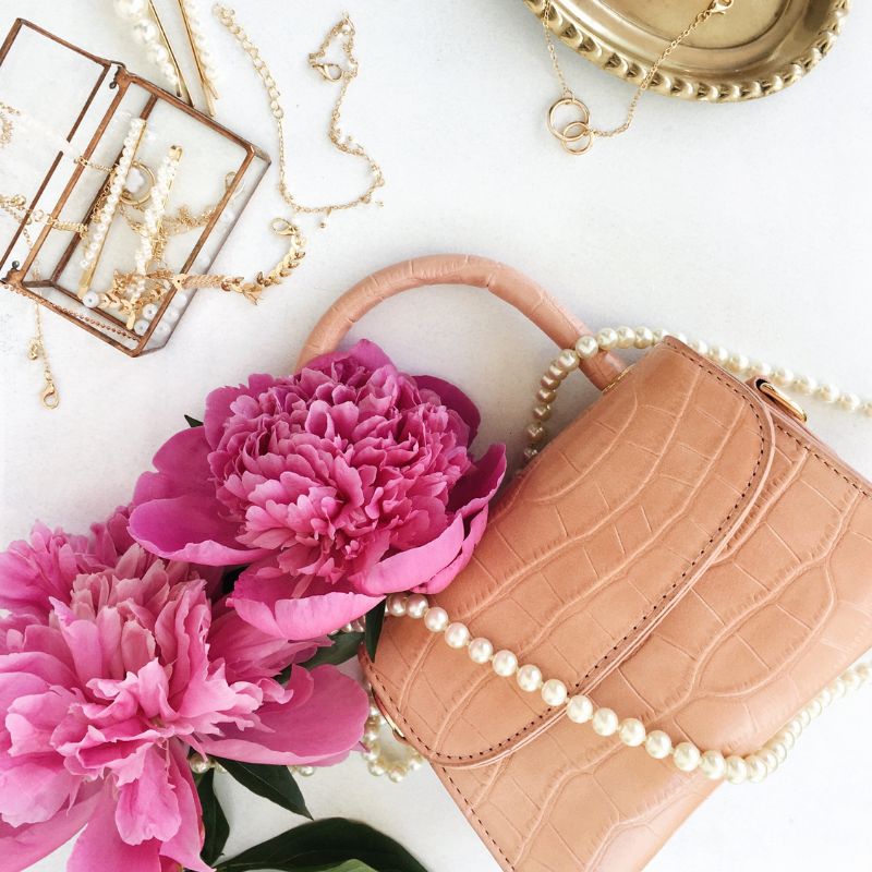 Hand Bags and Purses brand club