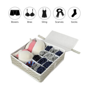 Organizers Box for Under Garments - Image 1