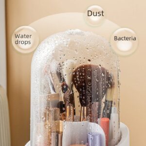 Rotating Makeup Organizer - Image 4